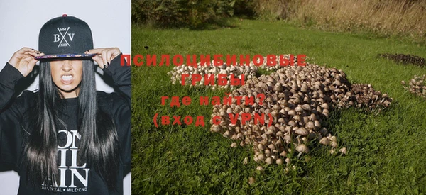 ALPHA PVP Бугульма