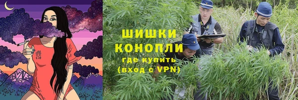 apvp Володарск