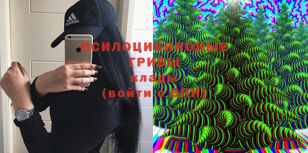 а пвп мука Бронницы