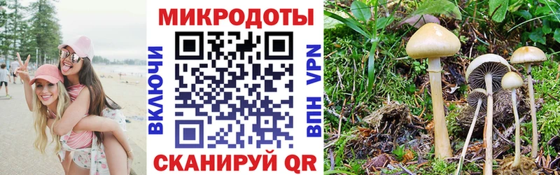 где найти   Красноярск  Галлюциногенные грибы ЛСД 